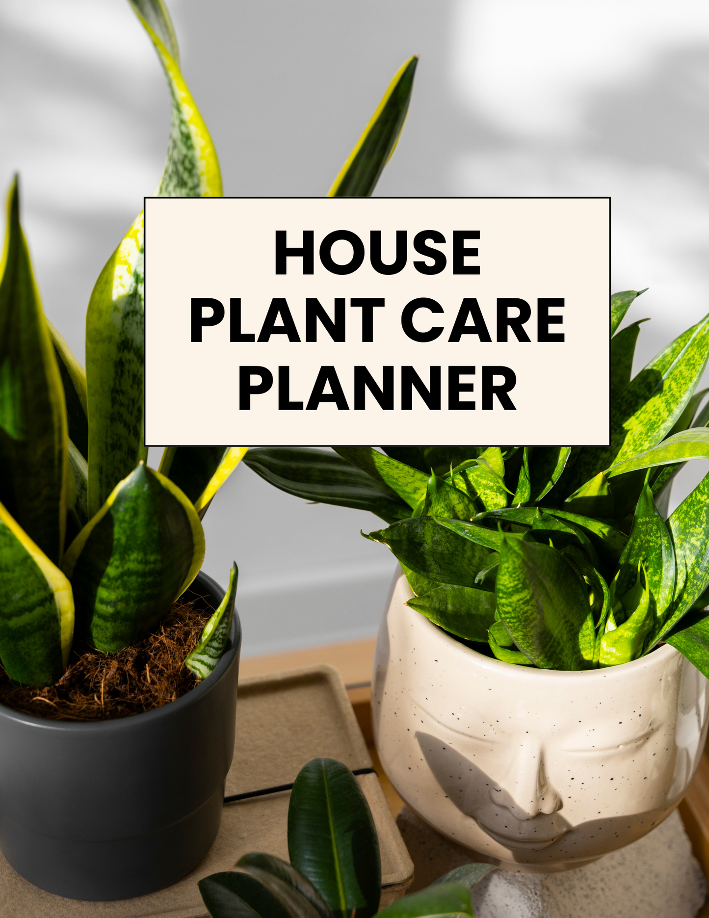 House Plant Care Planner