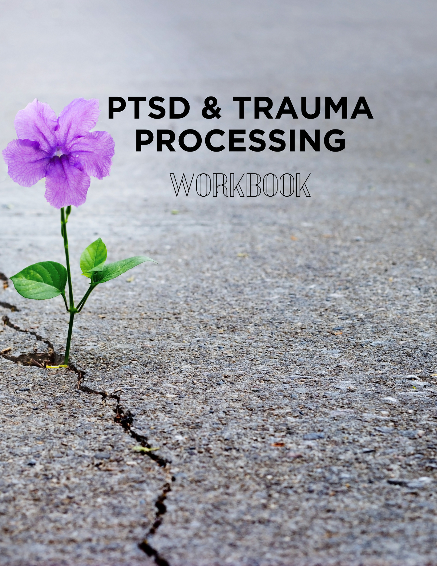 PTSD & Trauma Processing Workbook