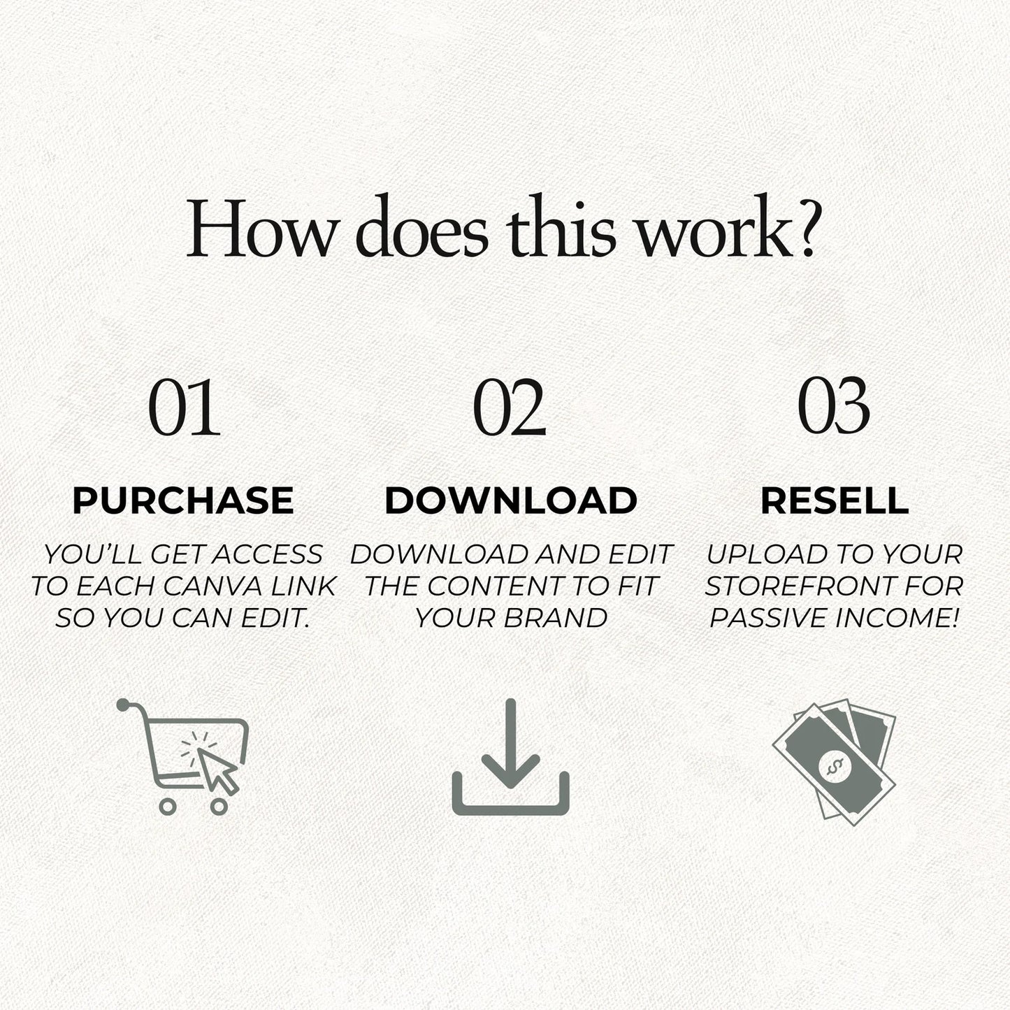 PREMIUM PLR MEGA PACK